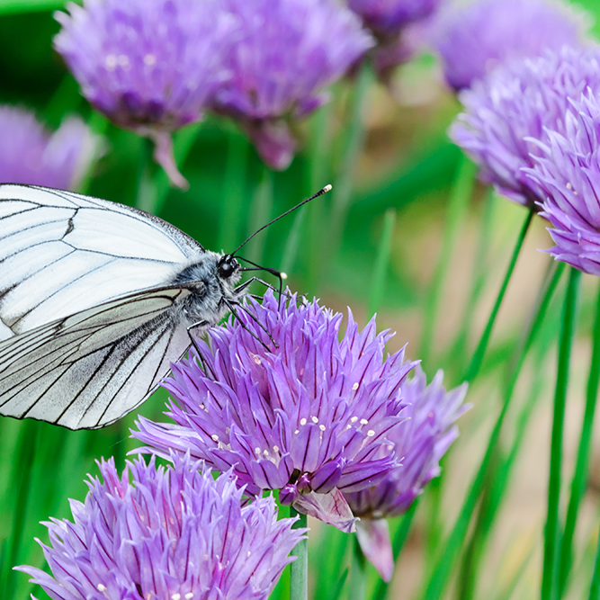 AdobeStock_209498709