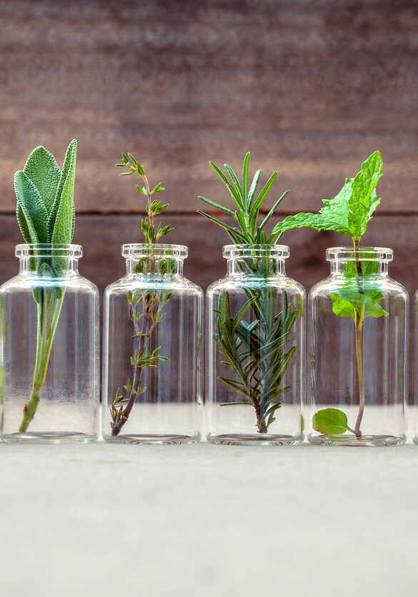 Bottle of essential oil with herbs .